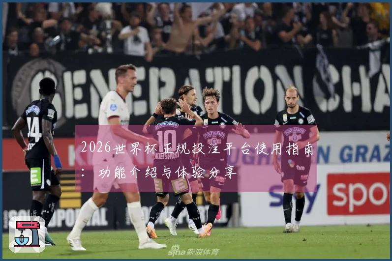 2026世界杯正规投注平台使用指南：功能介绍与体验分享