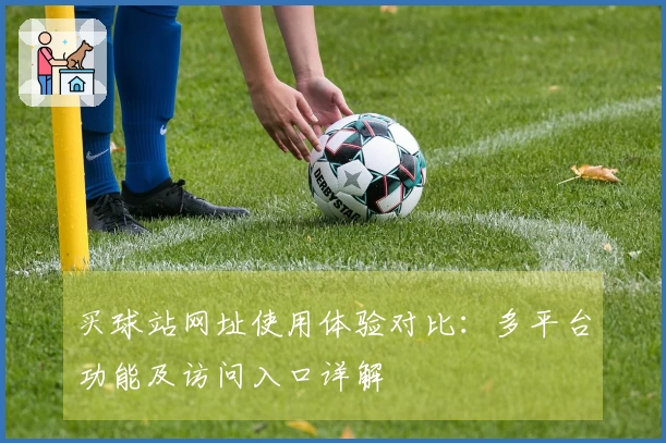 买球站网址使用体验对比:多平台功能及访问入口详解